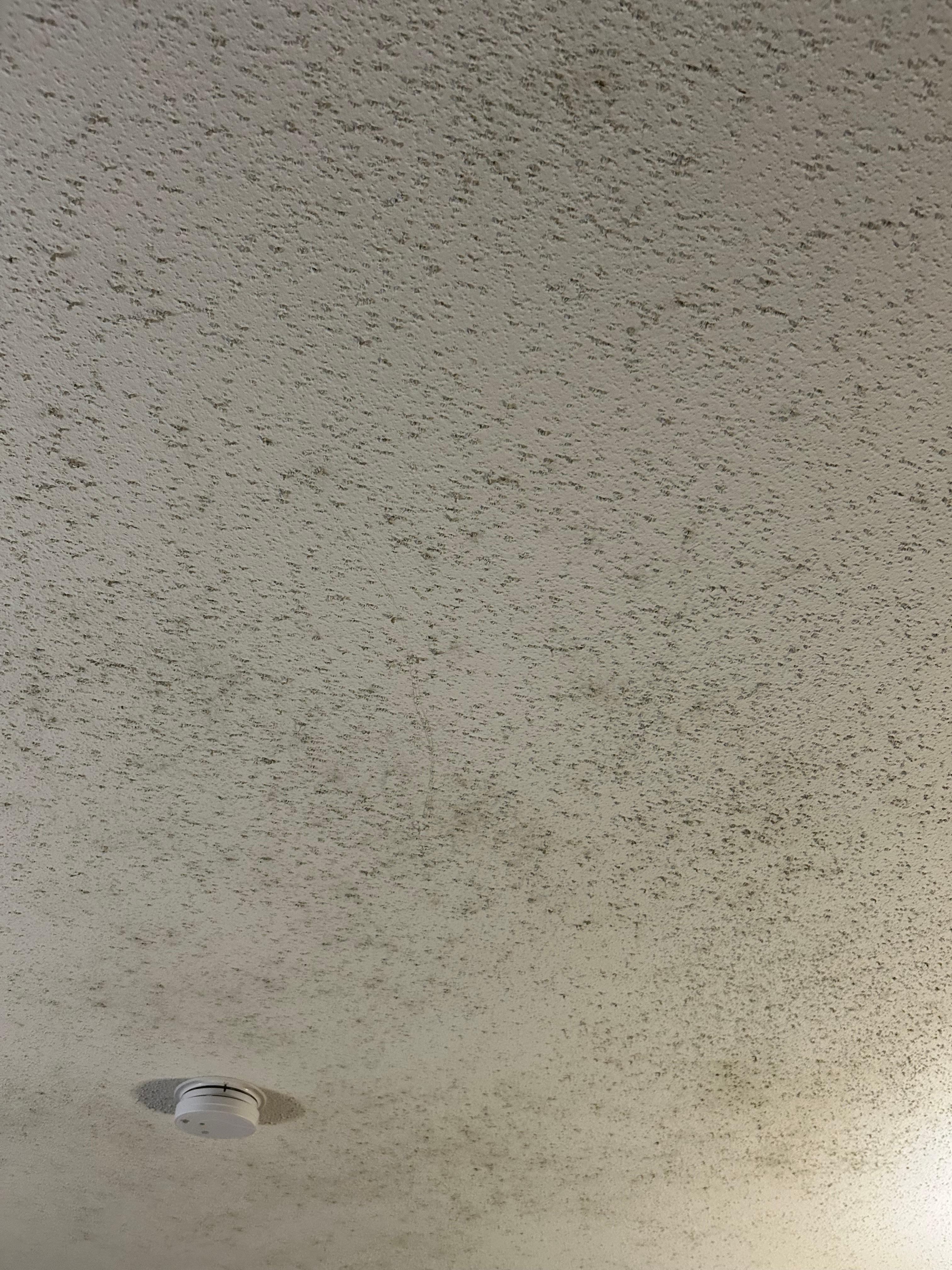 Stained ceiling- maybe mold. 
