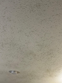 Stained ceiling- maybe mold.