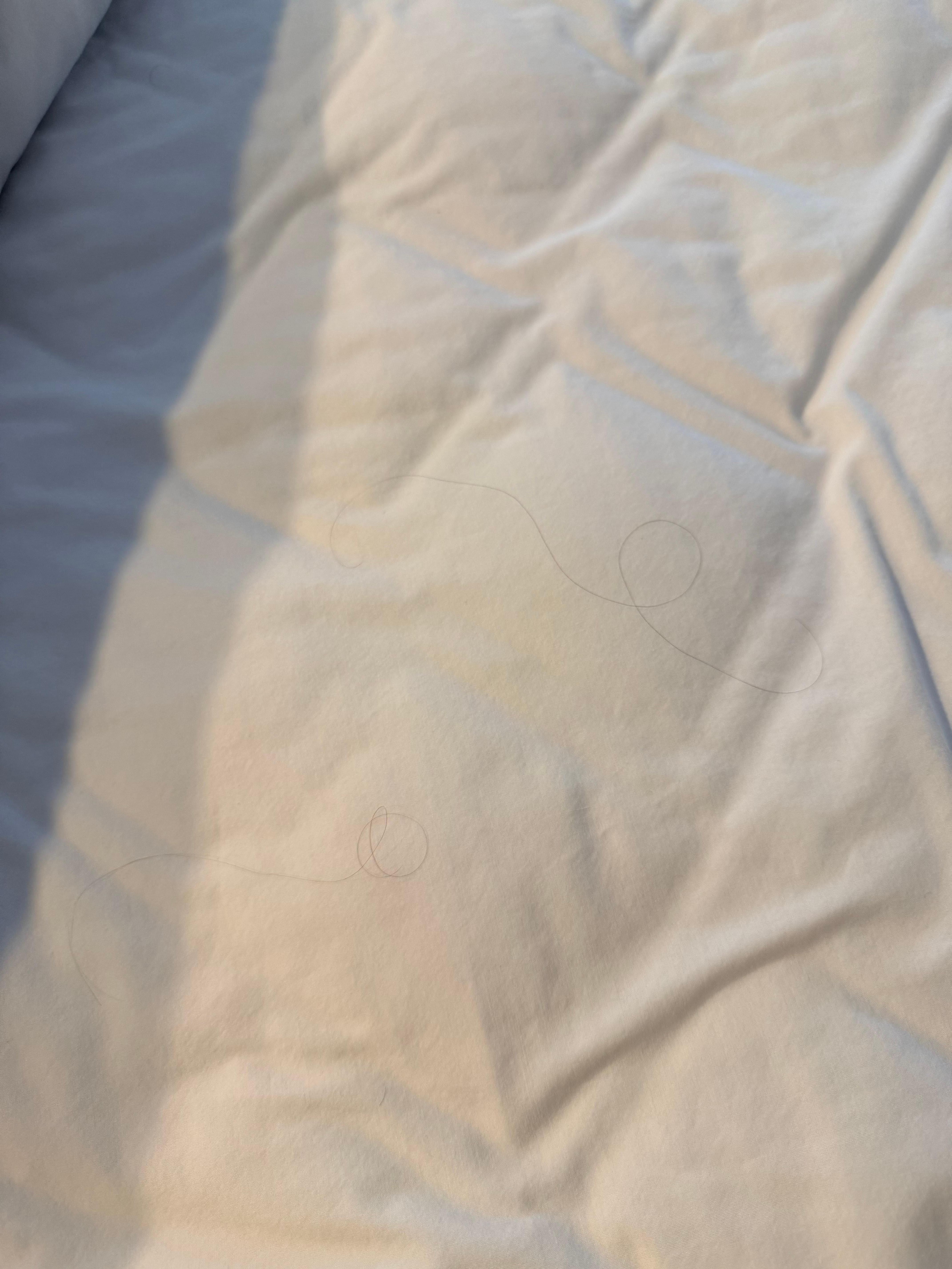 Cabellos debajo de  la colcha 