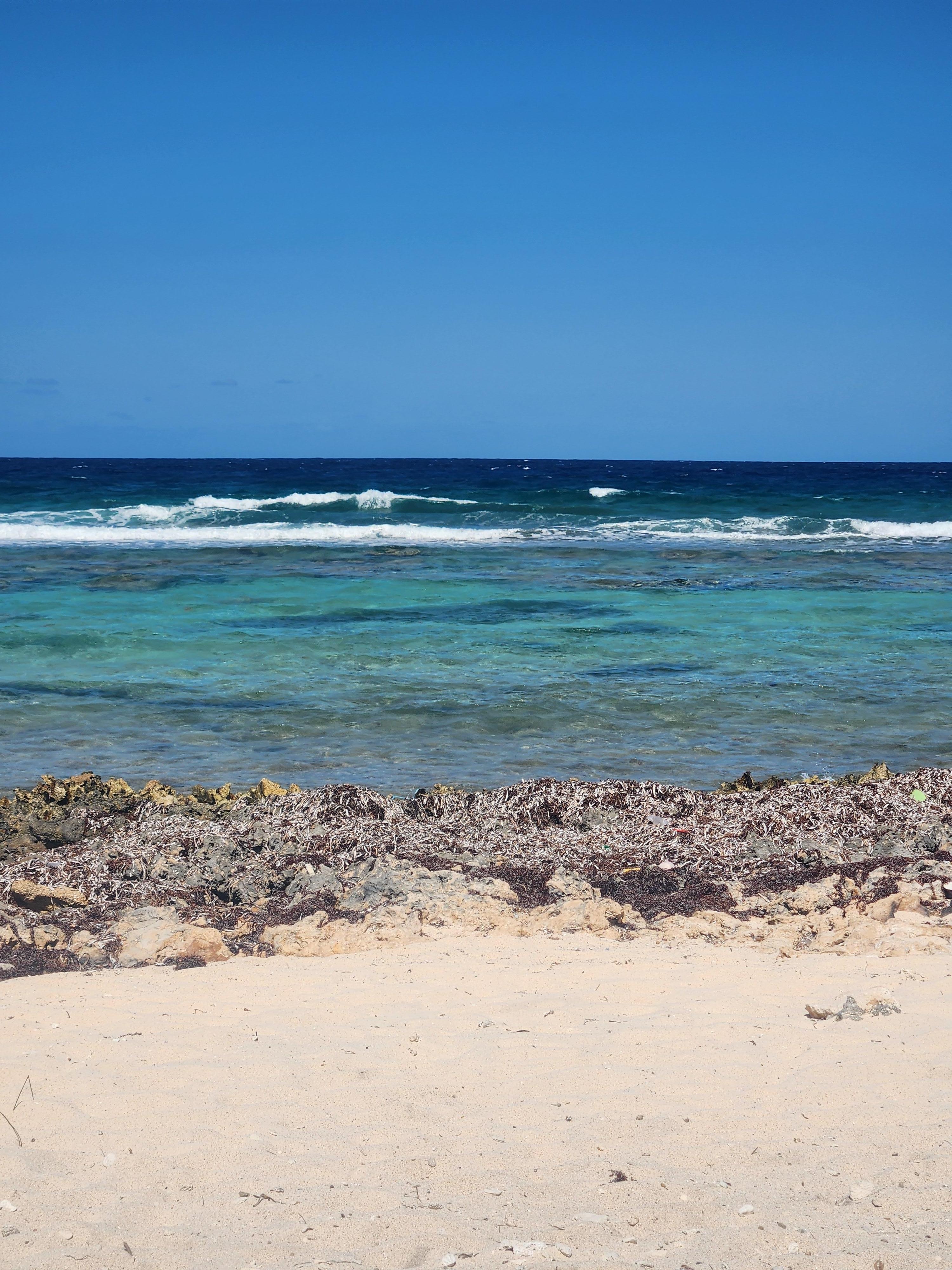 The view right outside the backdoor!