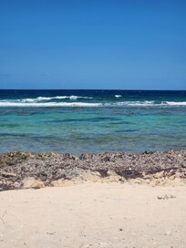 The view right outside the backdoor!