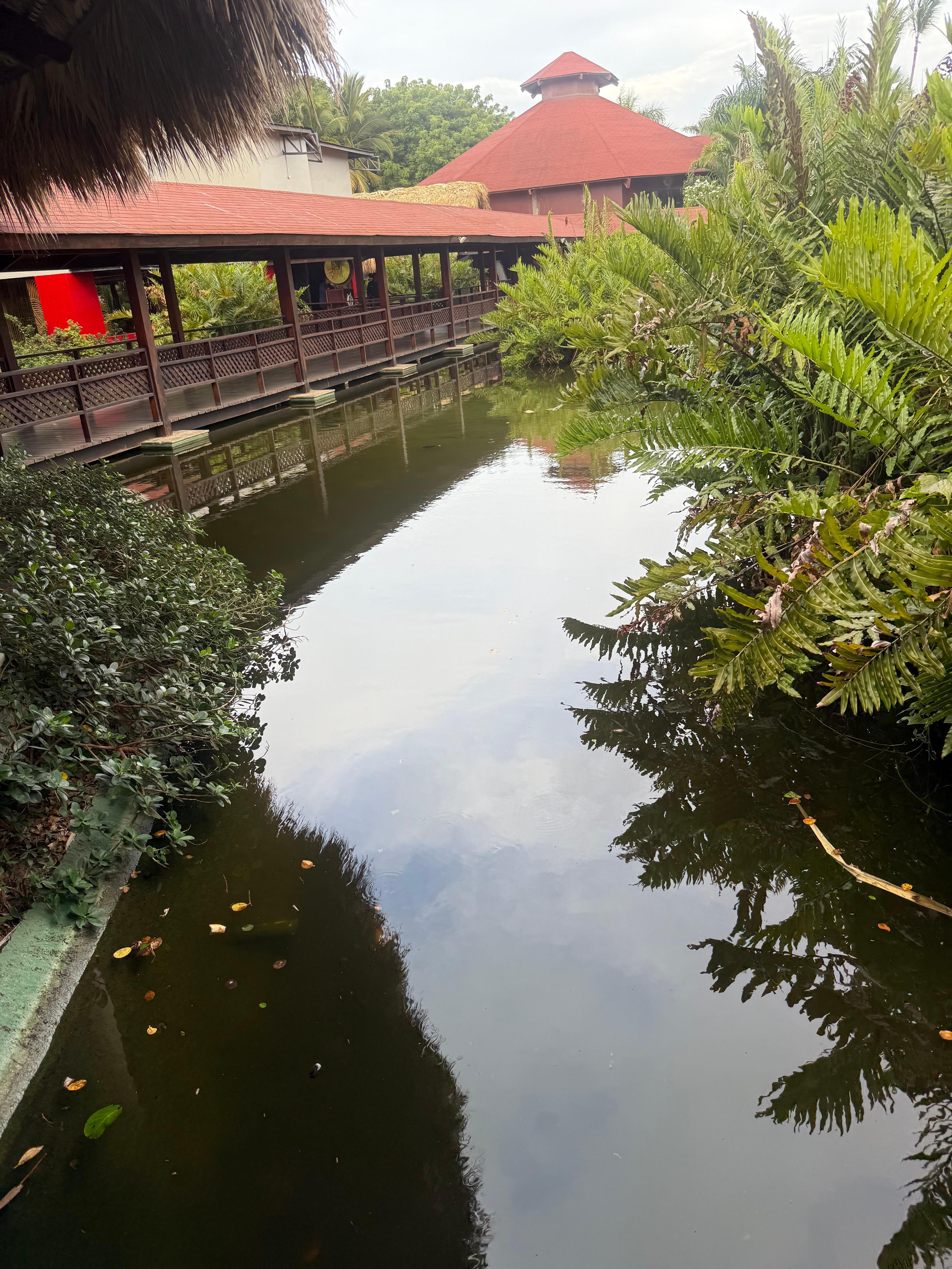 Ponds at bamboo restaurant