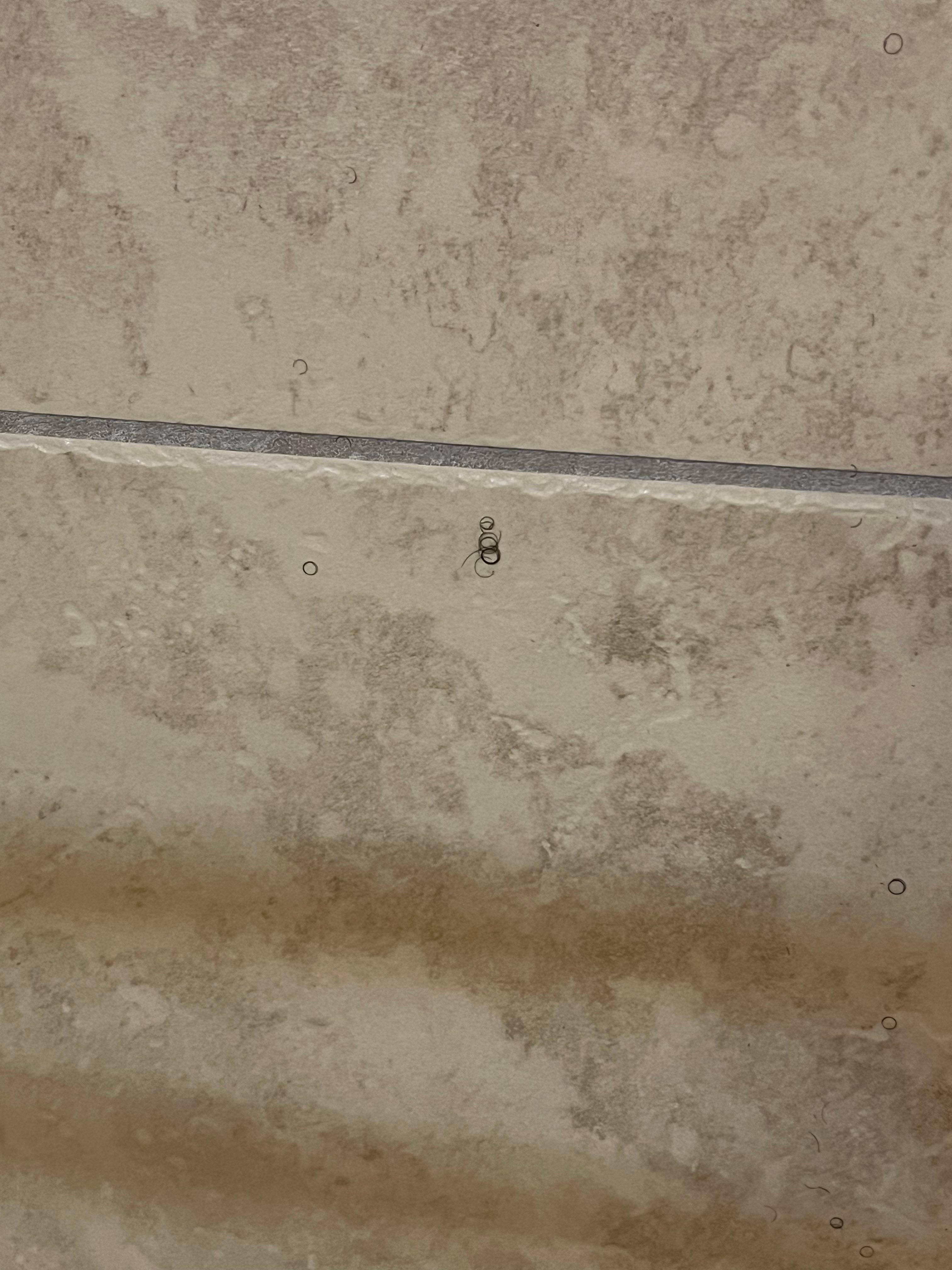 Shower walls with body hairs 