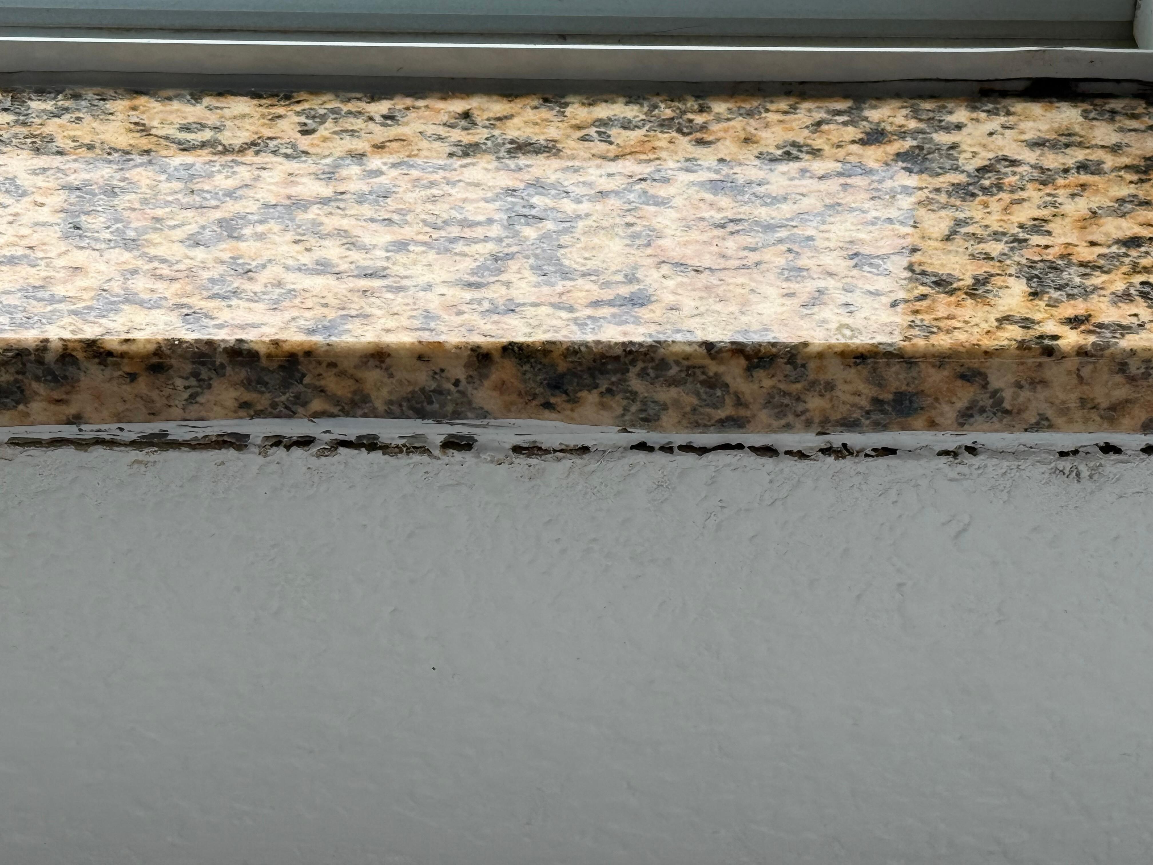 Mold under the windows