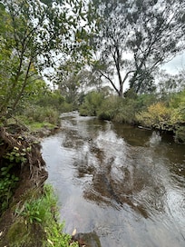 Great spot to catch some trout we even saw crayfish.