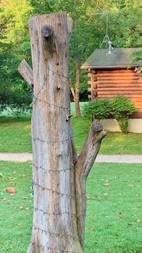 Woodpecker