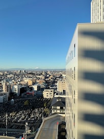 13階からは富士山が見えました。