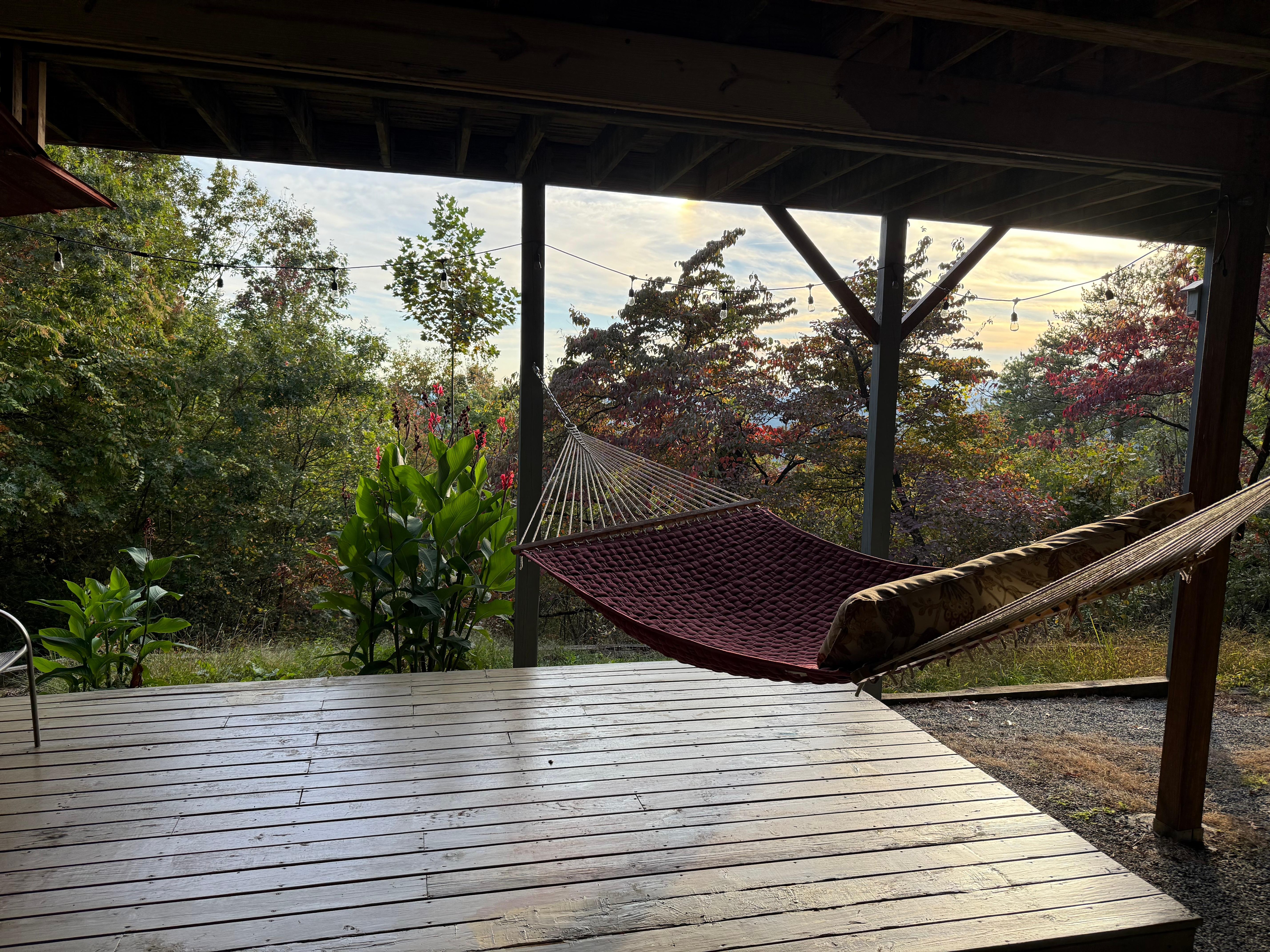 Comfortable hammock. 