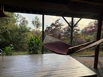 Comfortable hammock.