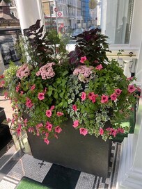 Entryway flowers