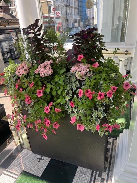 Entryway flowers