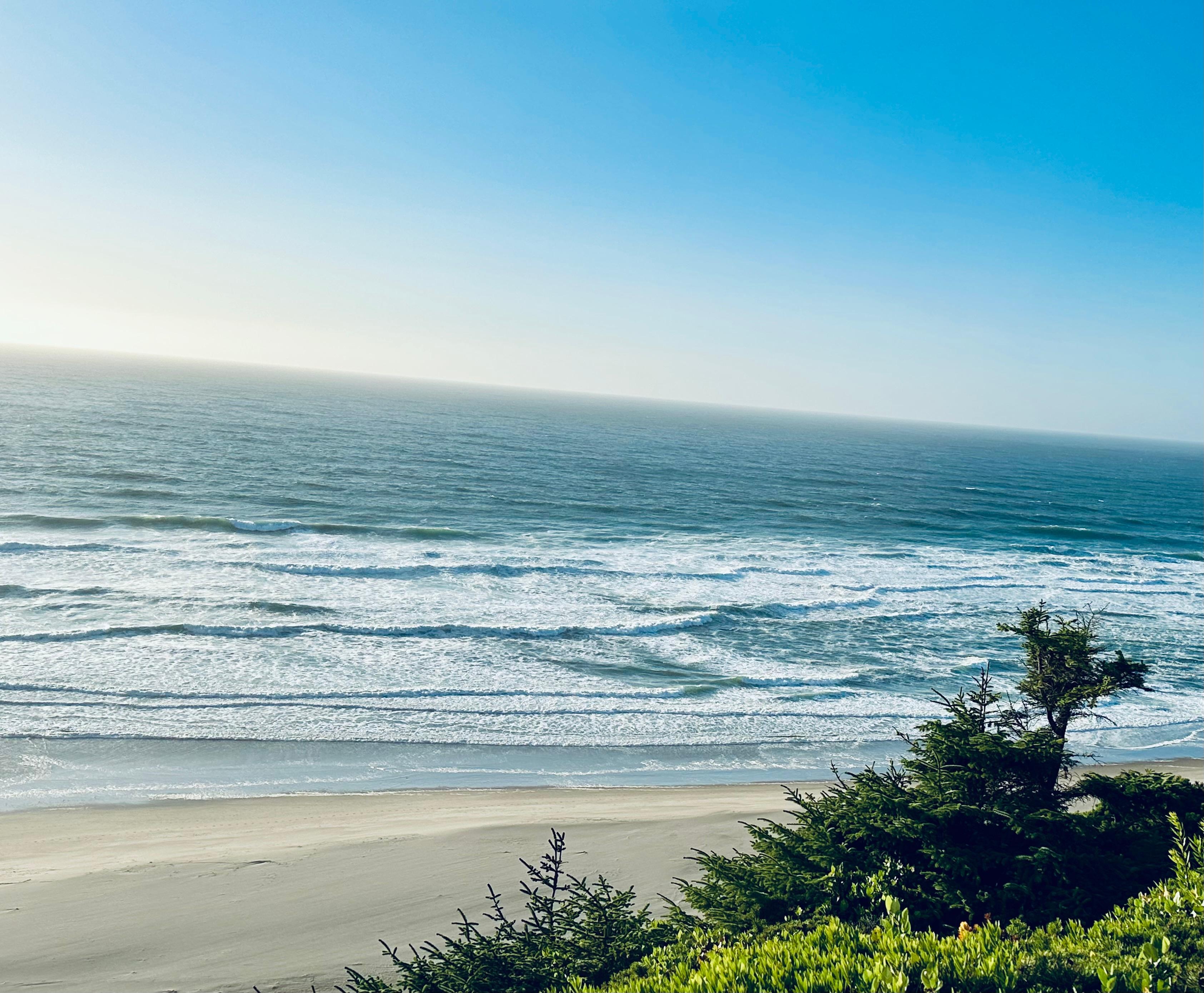 Views from the deck.