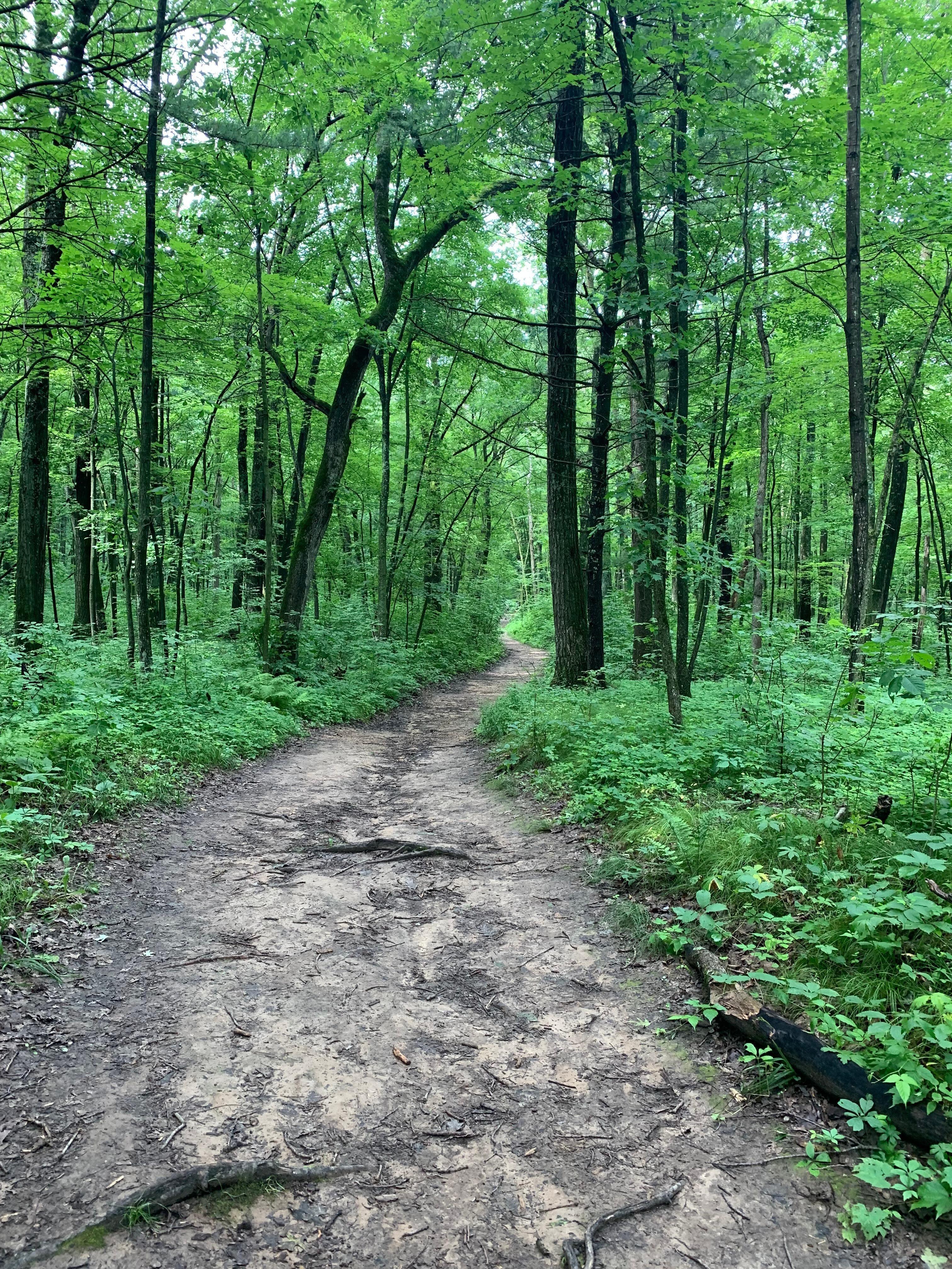 Wisconsin State Park