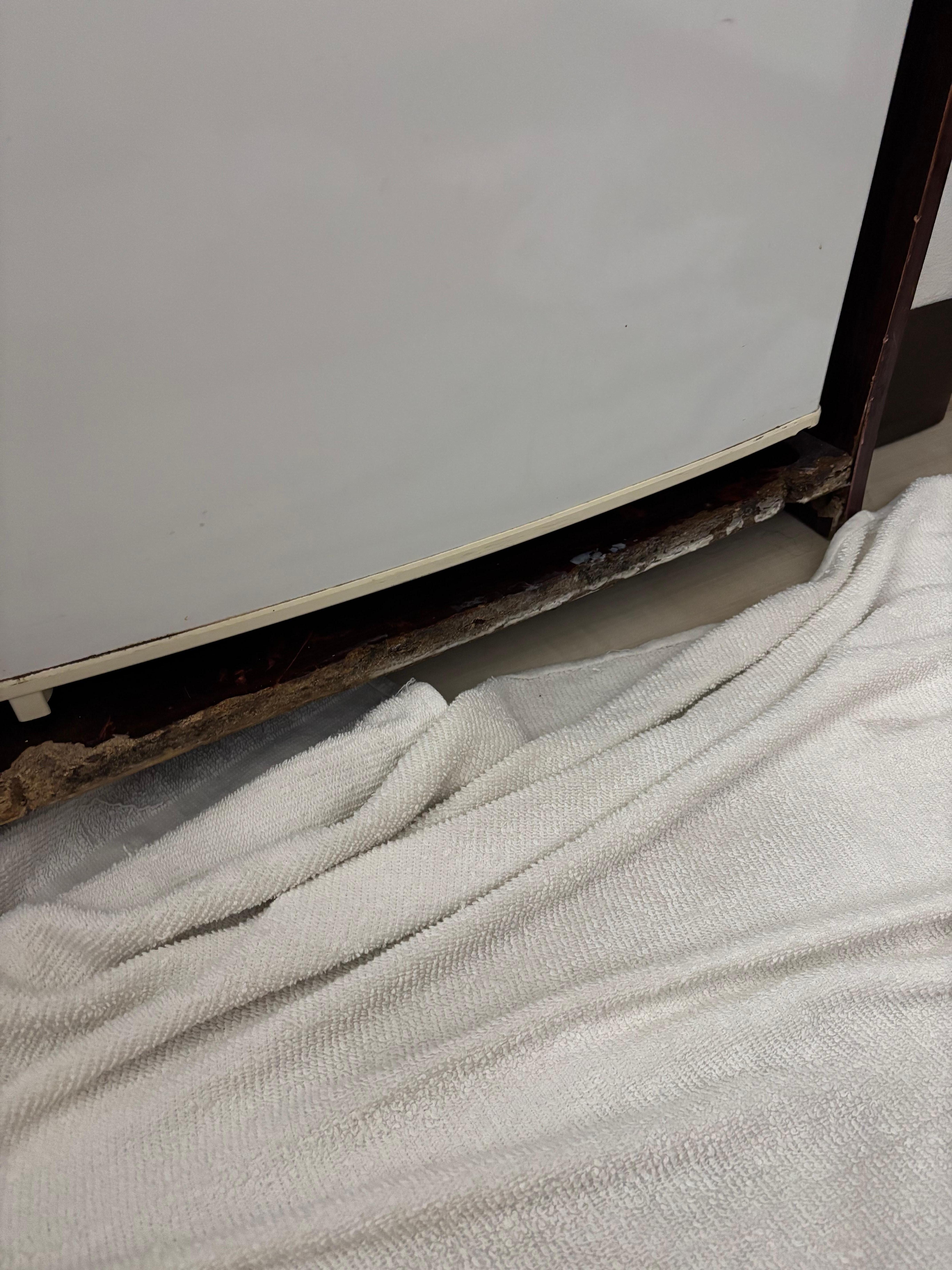 Water leak and rotten wood from fridge