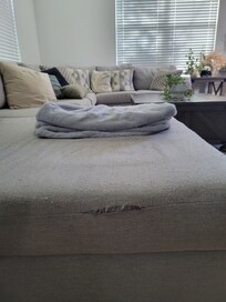 Wanted to let you know that the clothes dryer did not work and the couch had a tear and the wall by the dinning room had some sheet rock damage. I watered all the plants. It looked like they had not been watered in quite som time
