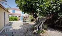 Im Garten des Fischerhauses kann man im Schatten eines alten Feigenbaumes frühstücken.
