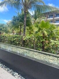 The property grounds outside
