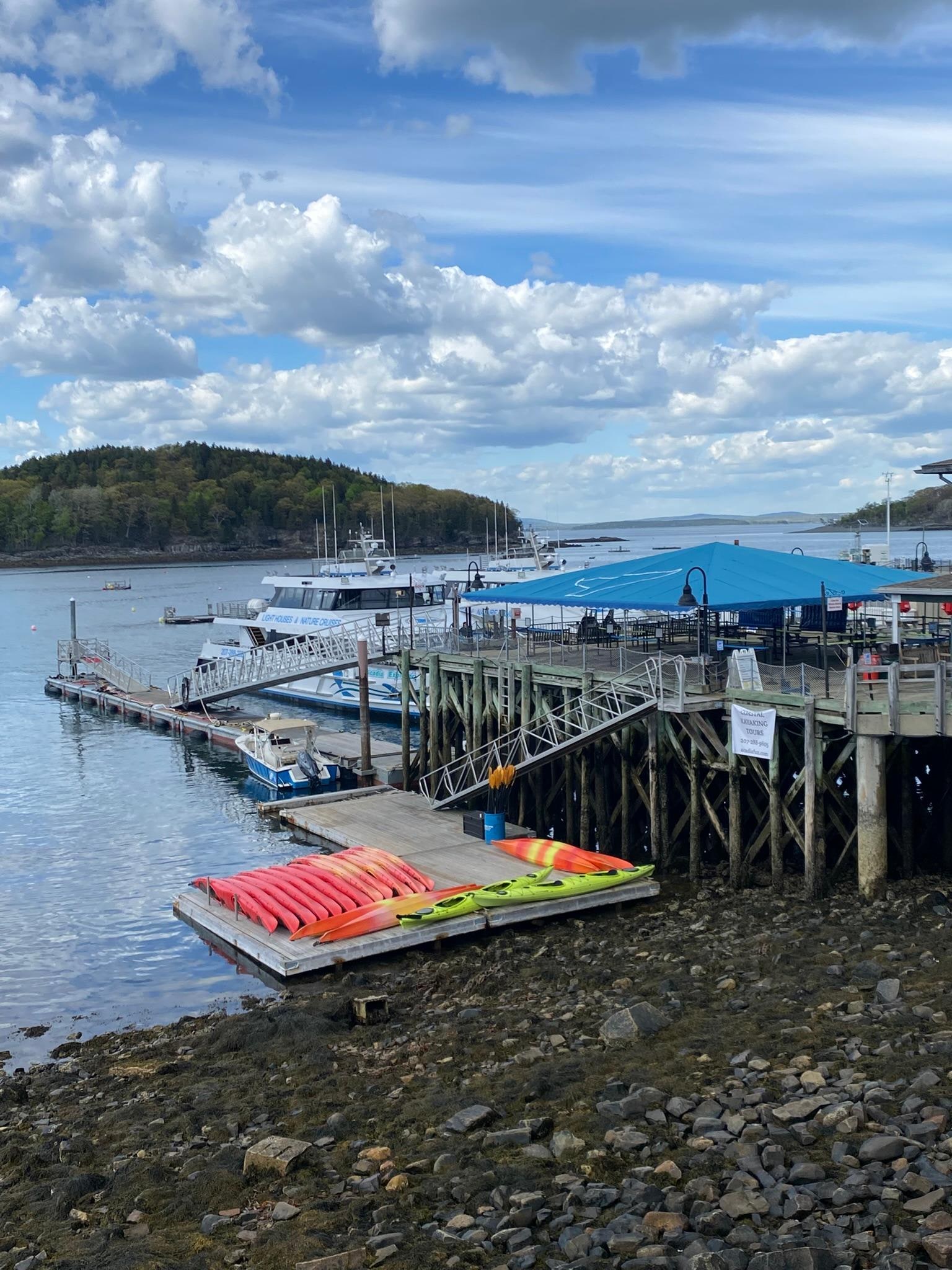 Bar Harbor scene