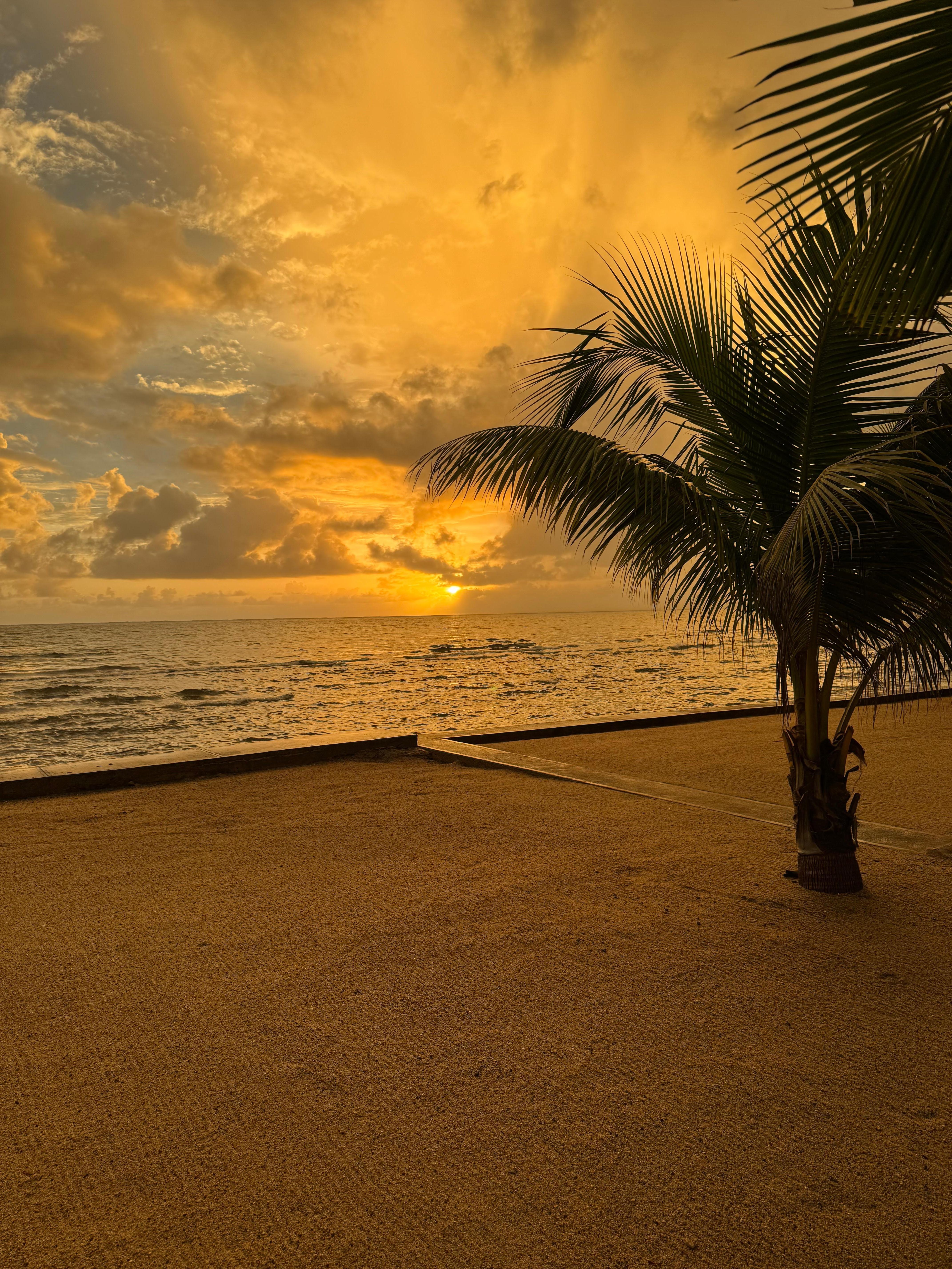 Amazing sunrise last morning of yrip