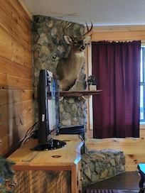 Enjoy the electric fireplace