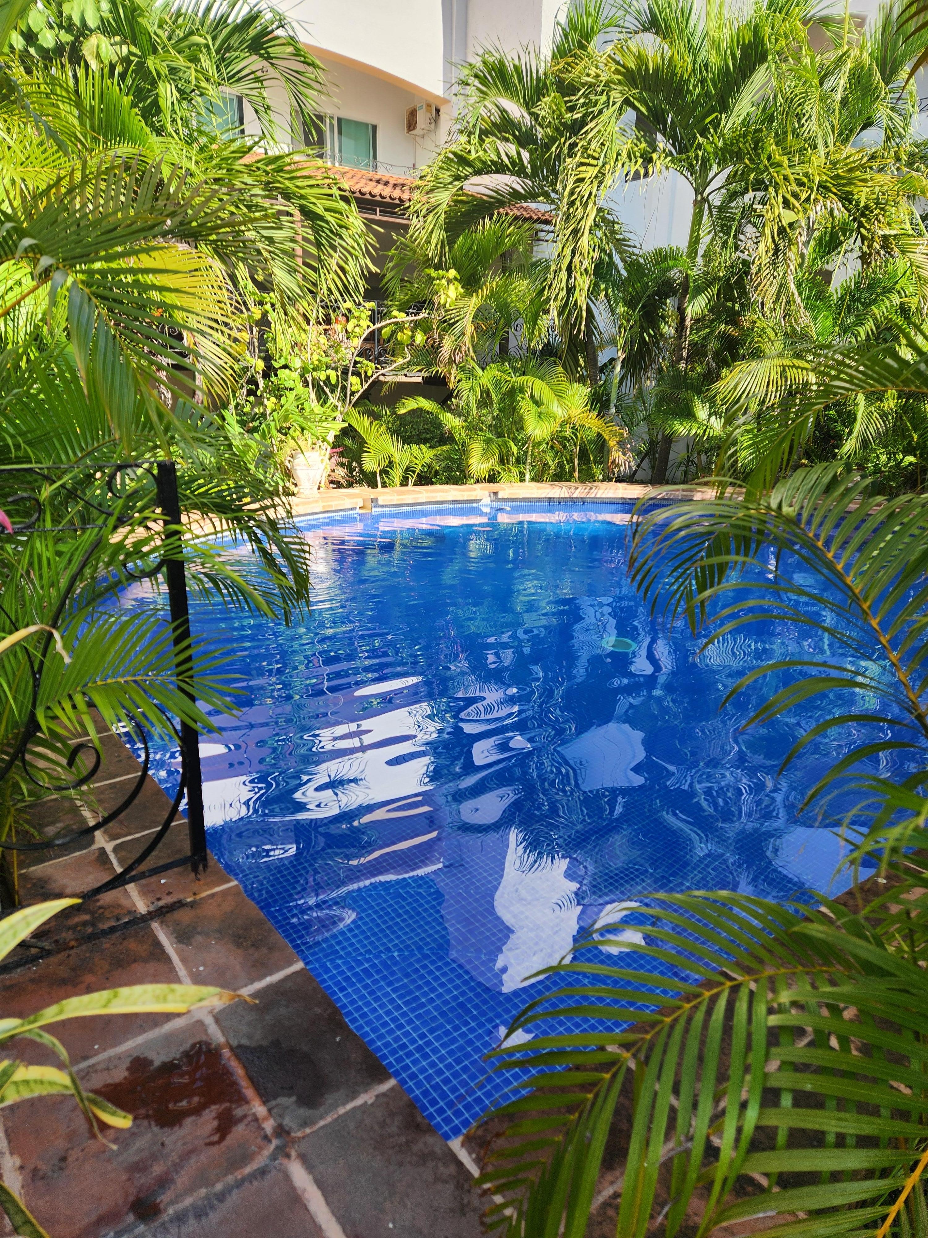 Garden pool