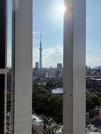 View from a hotel window.