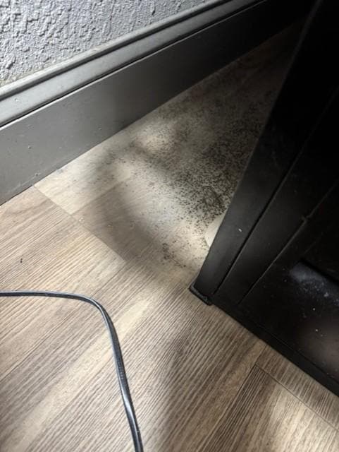 Mold under the bed