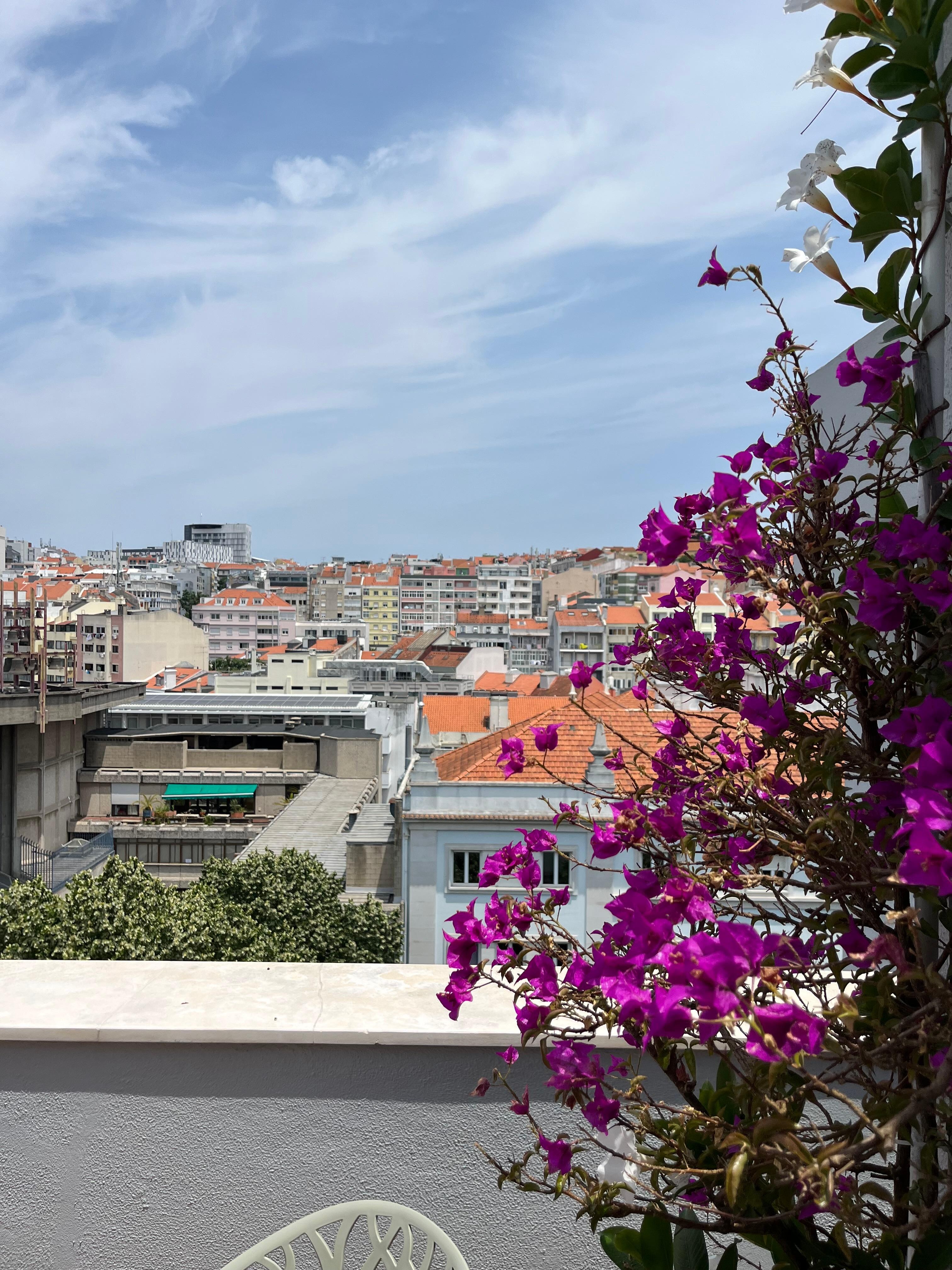 View from balcony #1