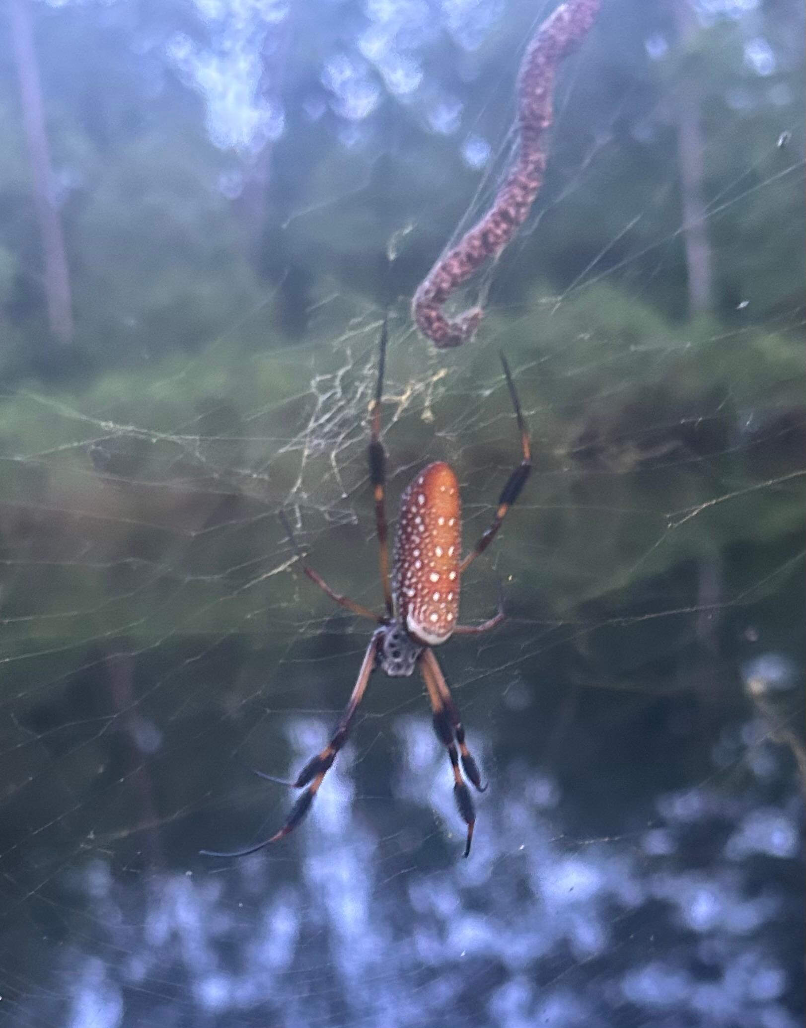 More awesome nature!! 