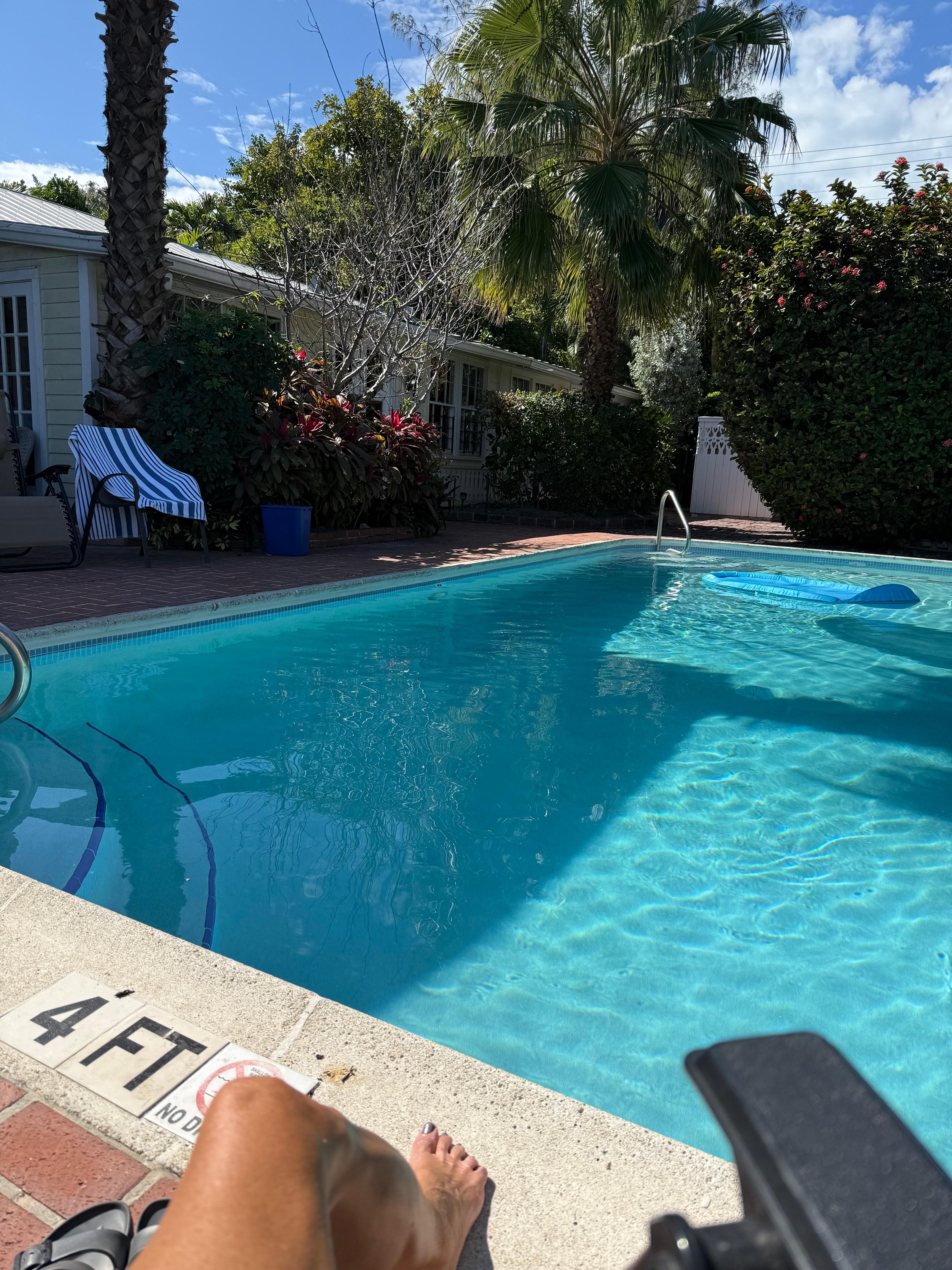 Pool clean and great temp