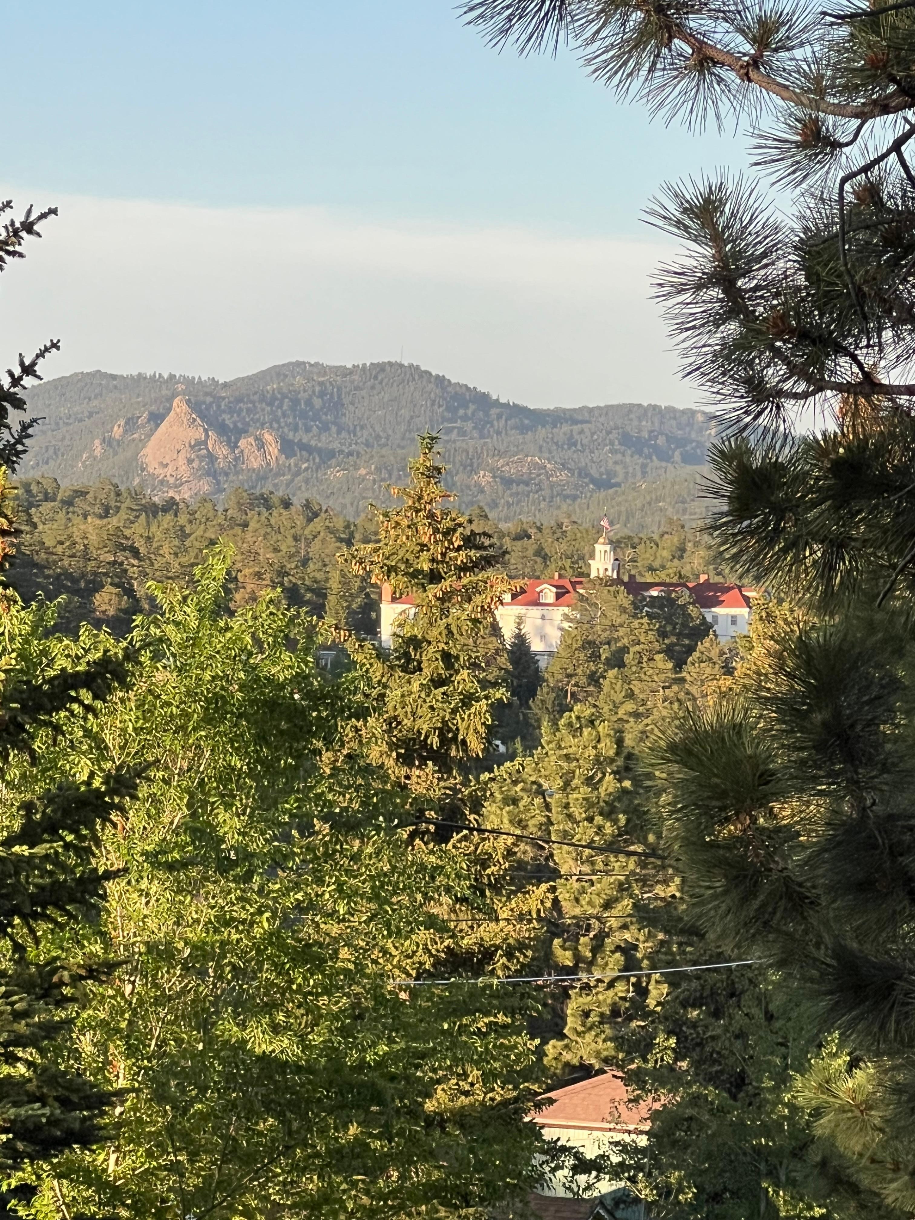View from kitchen