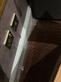 Dust covered carpet and edges