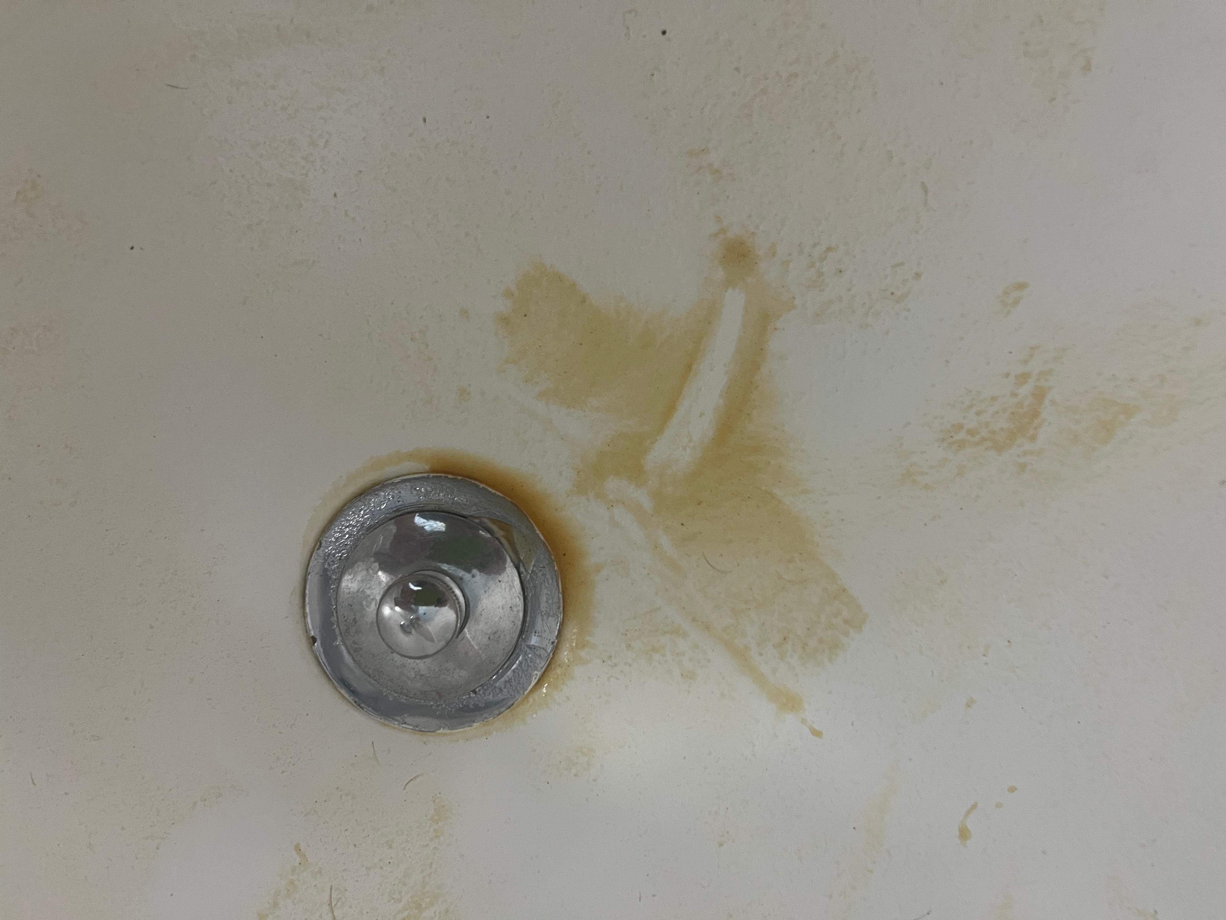 All the brown sediment that was in the tub when it did drain