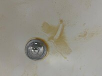 All the brown sediment that was in the tub when it did drain