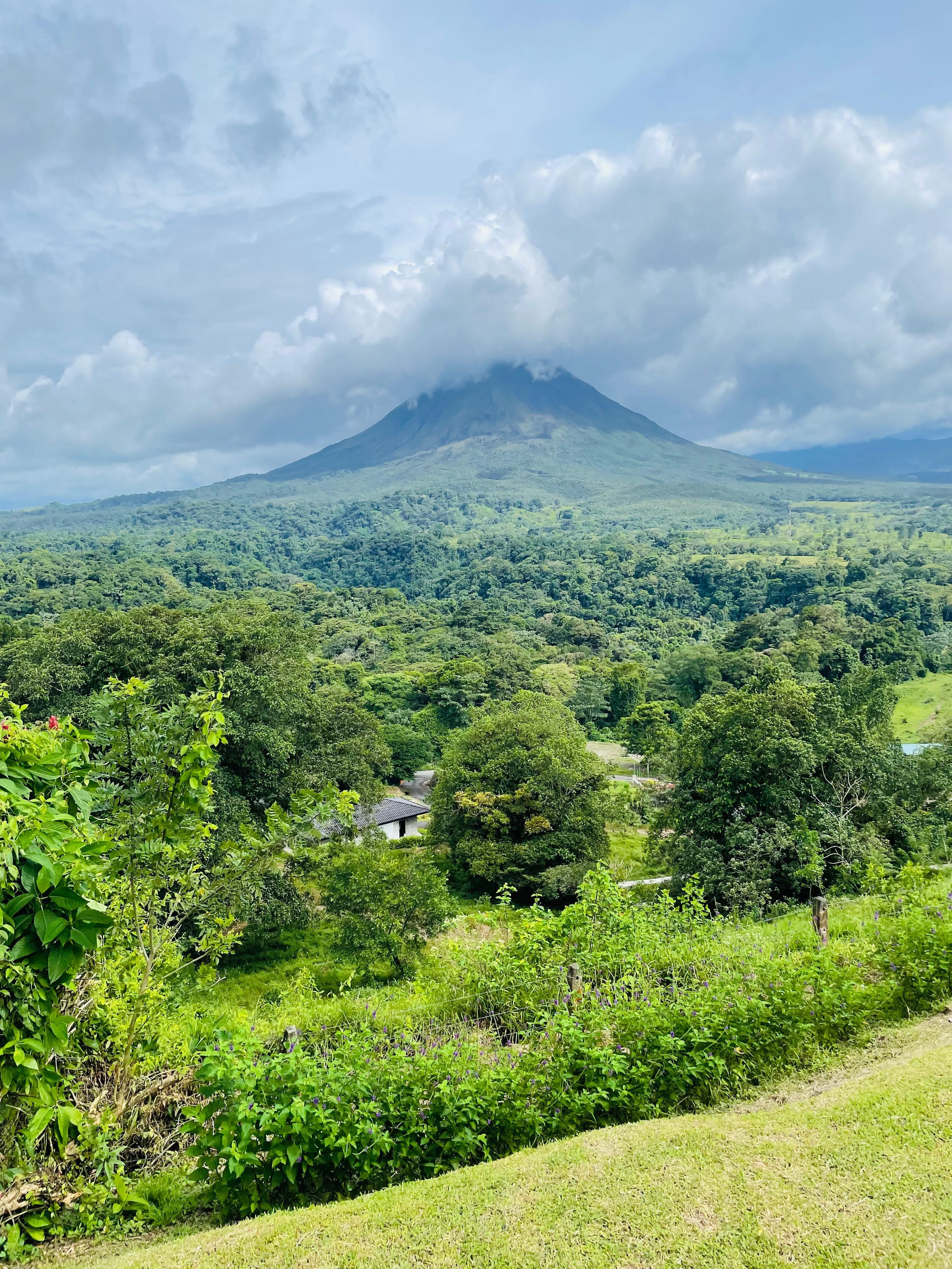 View of the volcano  from the Mistico bridge tour!