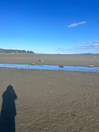 Low tide , backyard