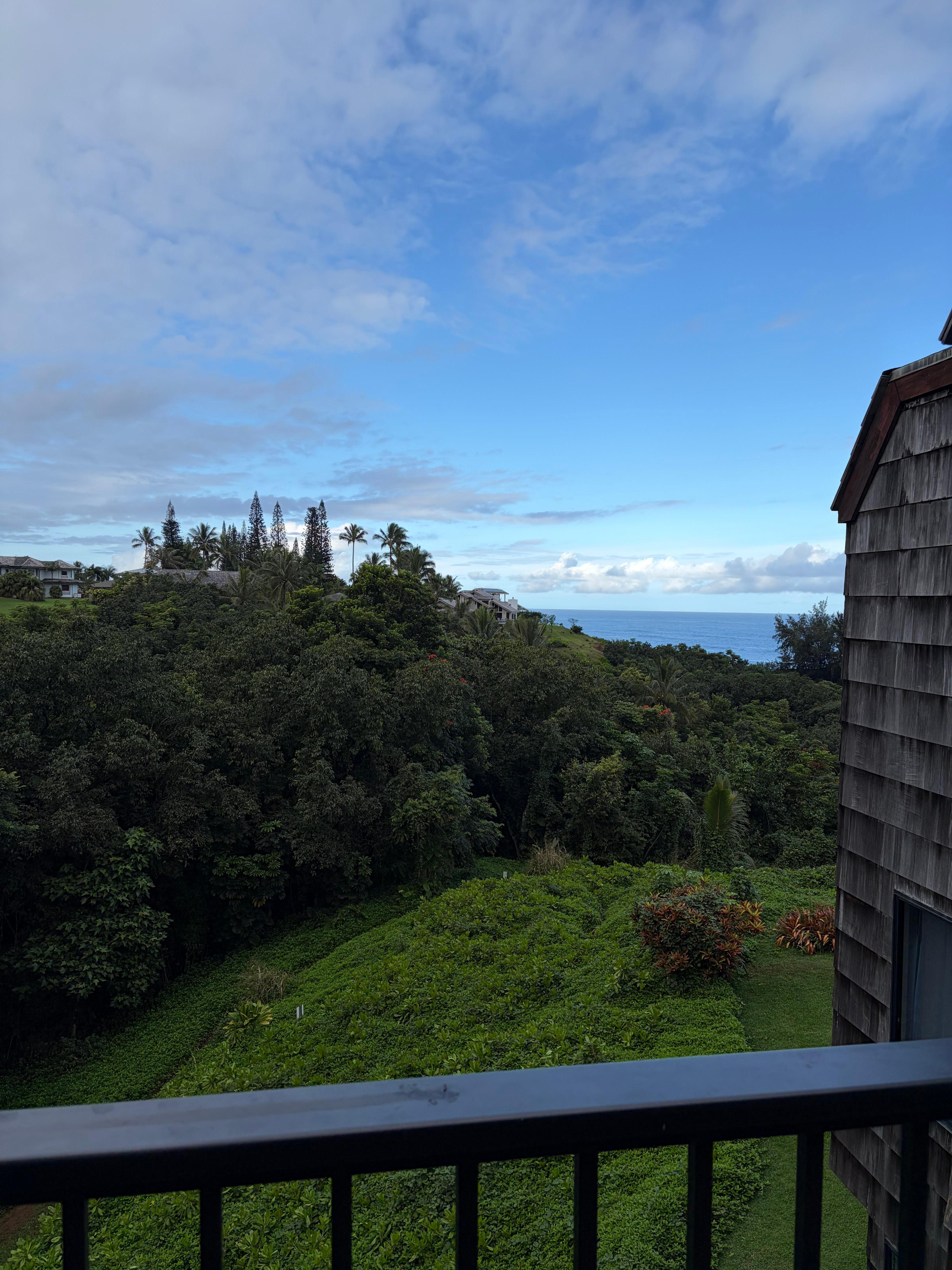 View from lanai