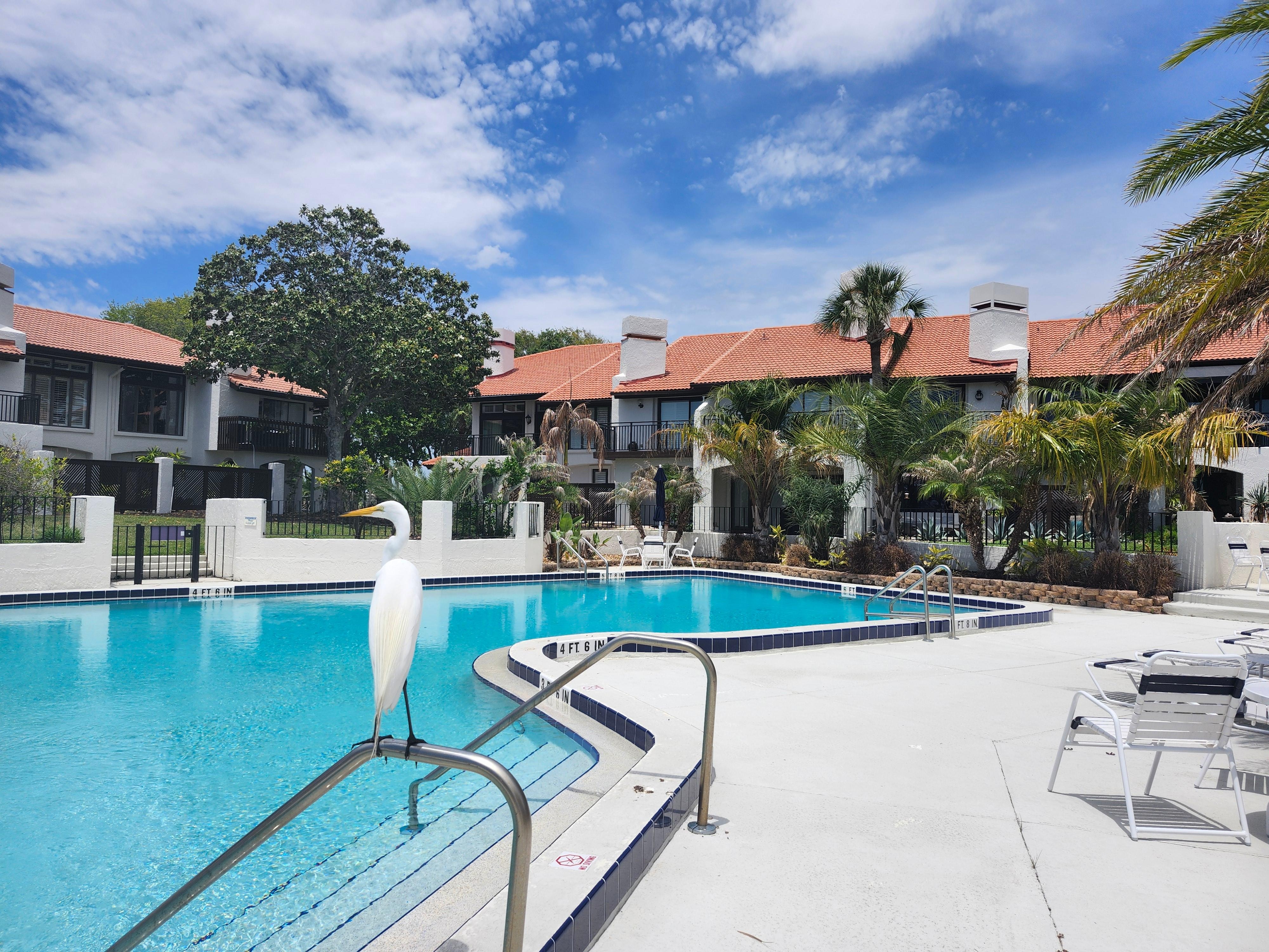 Pool is peaceful. Lovely furniture and umbrellas.