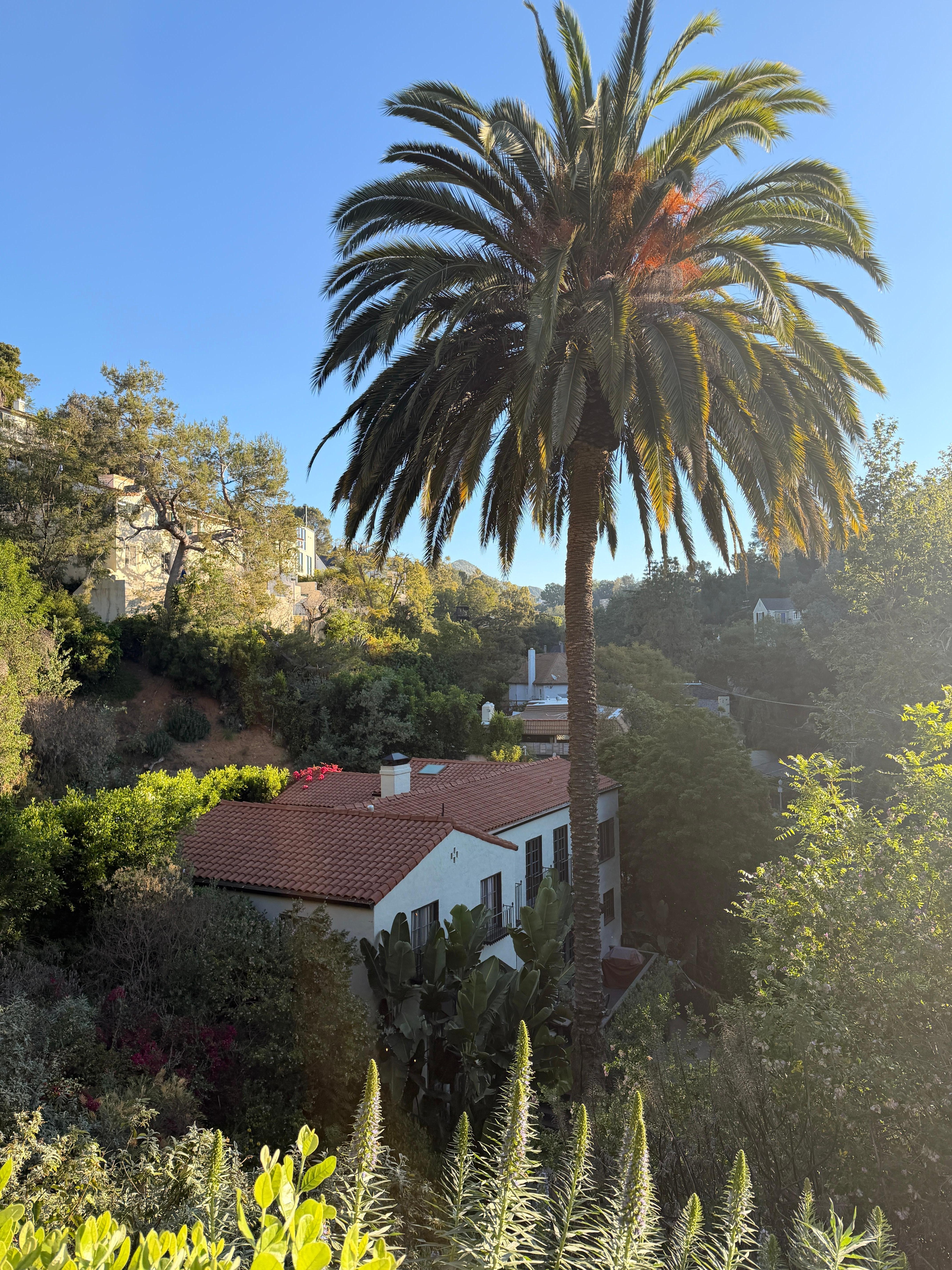 View of the house from the top garden