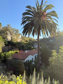 View of the house from the top garden