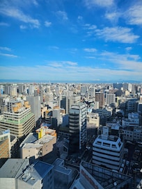 17th floor view.