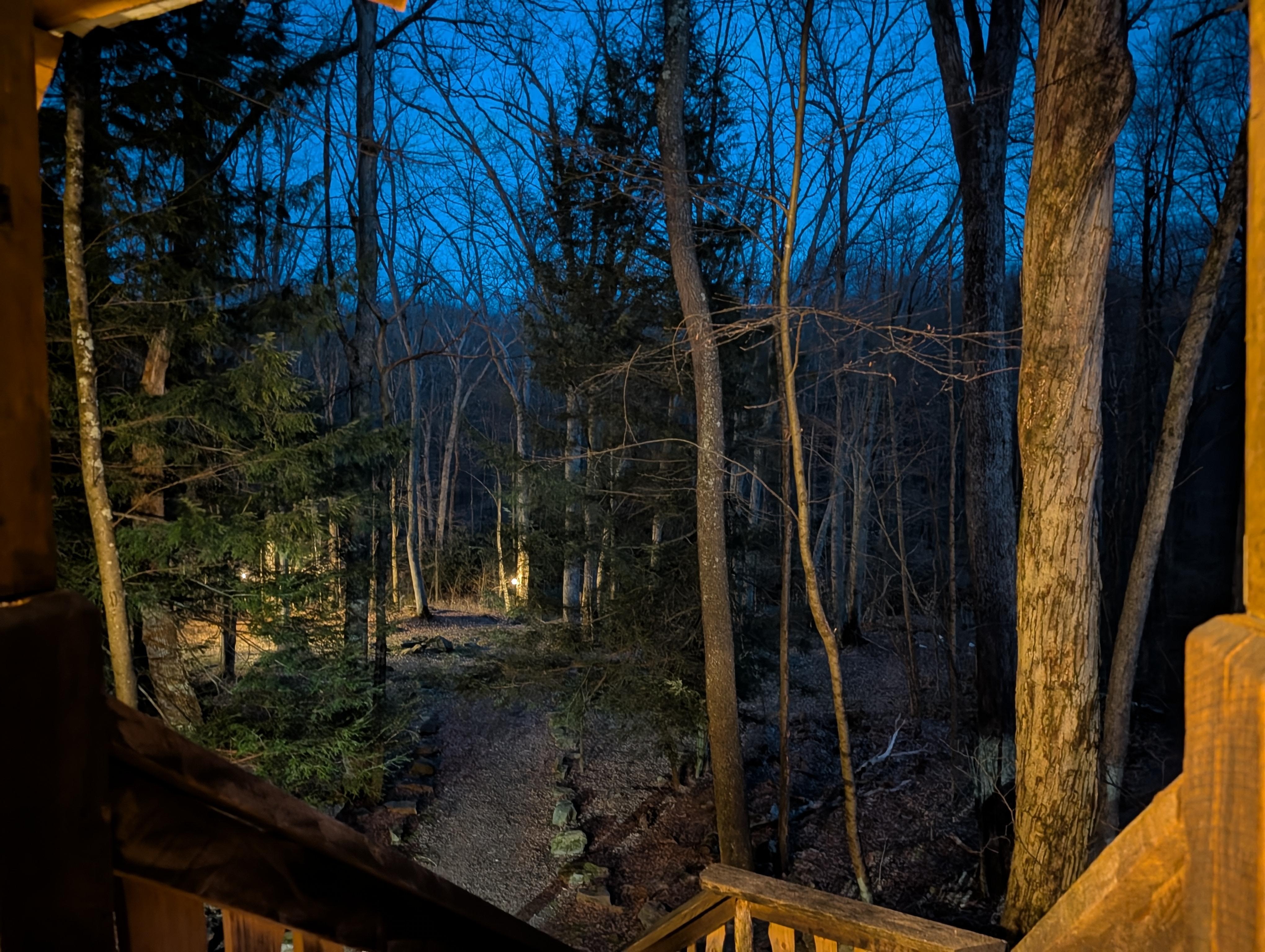 Overlook view from the back porch of the tree house. 