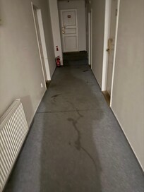 Ugly dirty old carpet