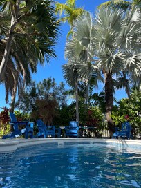Best seat in the house (well, pool)