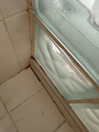 Mold, this wall moves