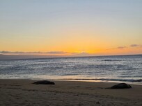Nice seal visit came up on shore during our stay to take a rest.