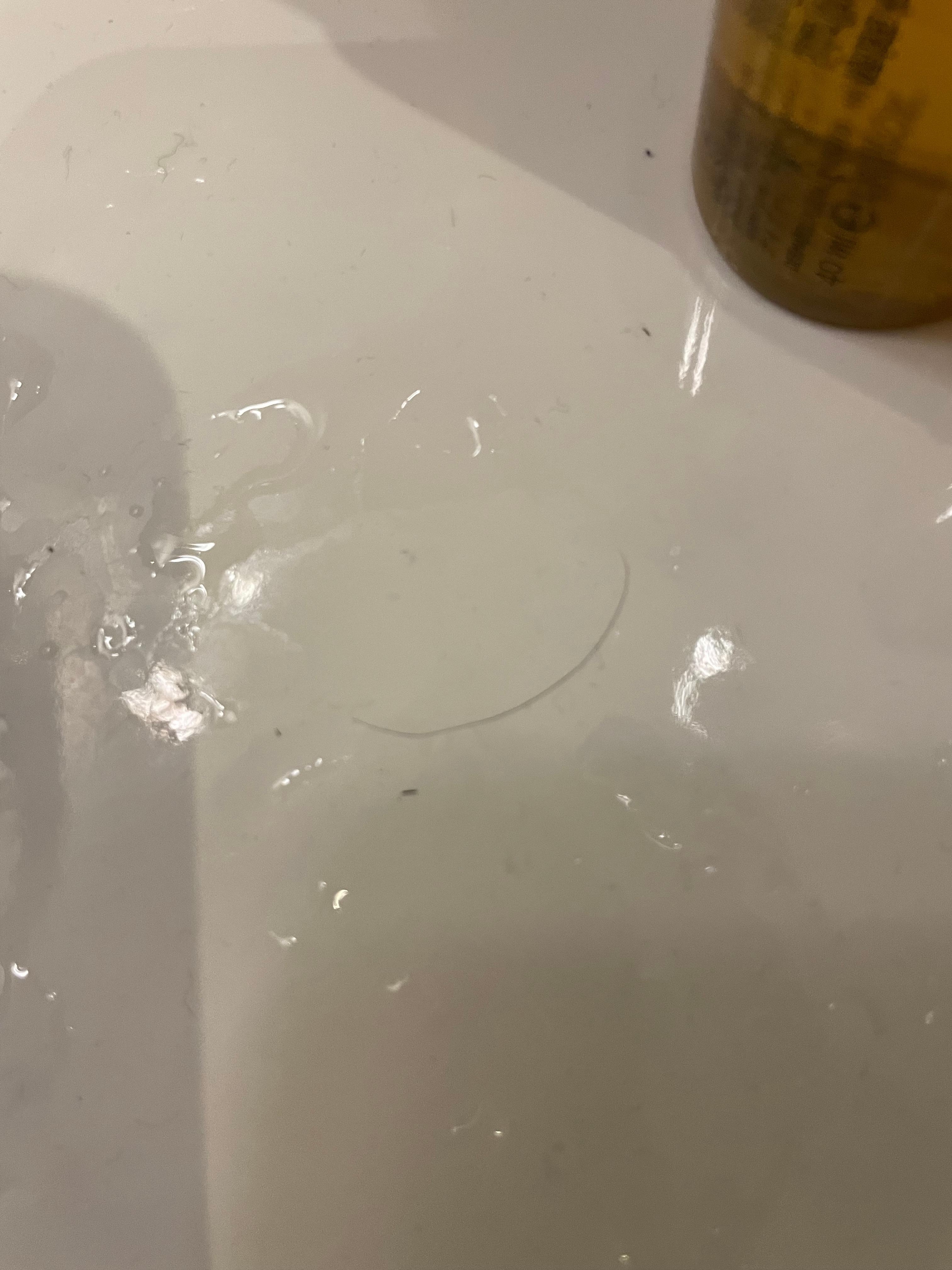 The previous tenant’s hair in the sink. 