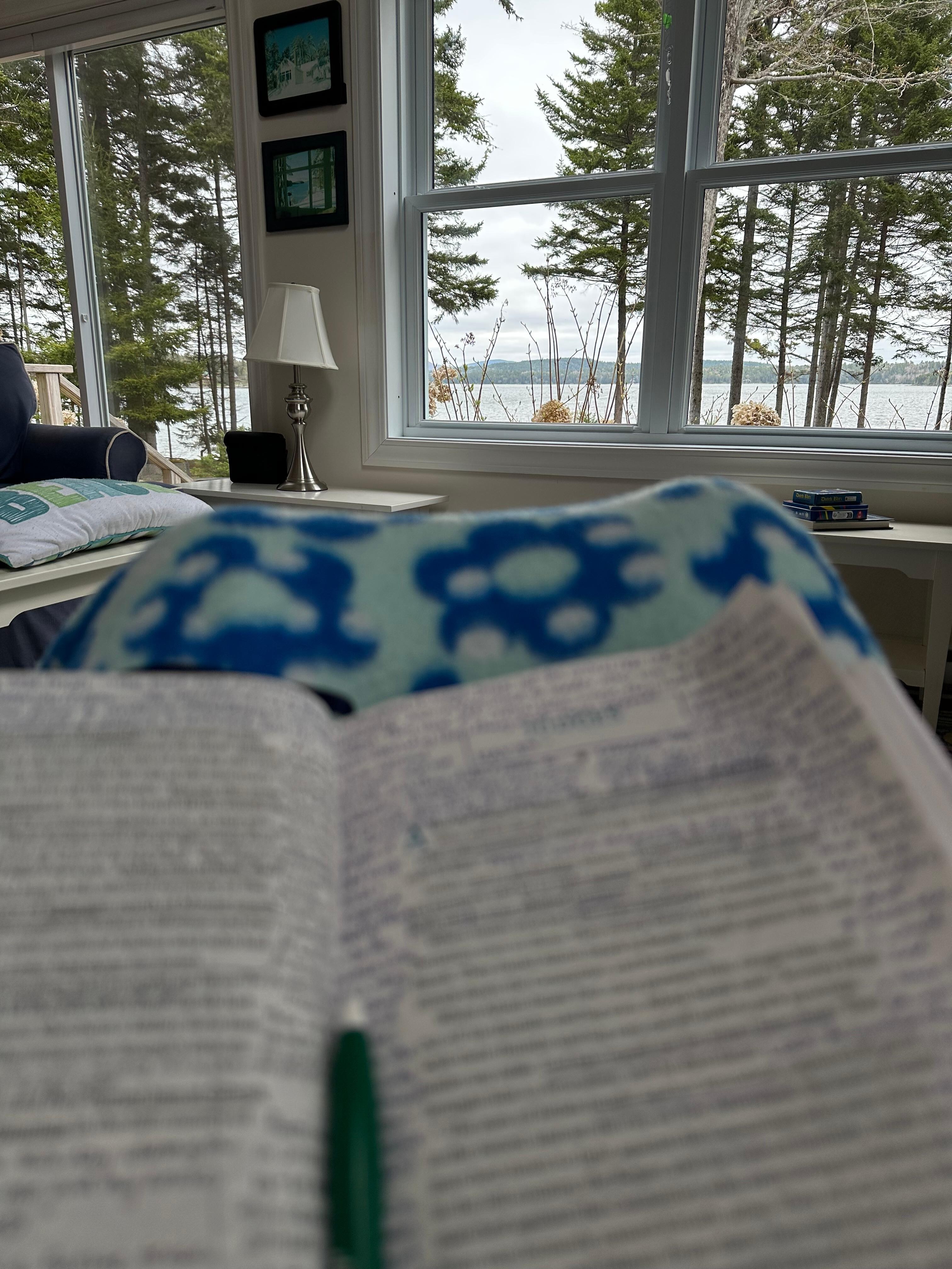 The gorgeous view of Jellison Cove from my comfy chair as I read.