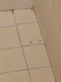 Hair in the shower
