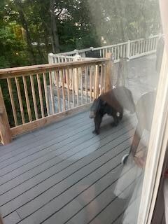 Deck by front door